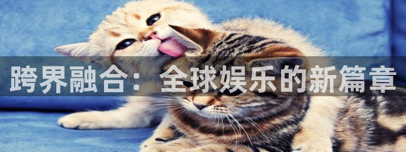 韦德1946最新网站