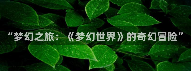 韦德1946体育官方入口