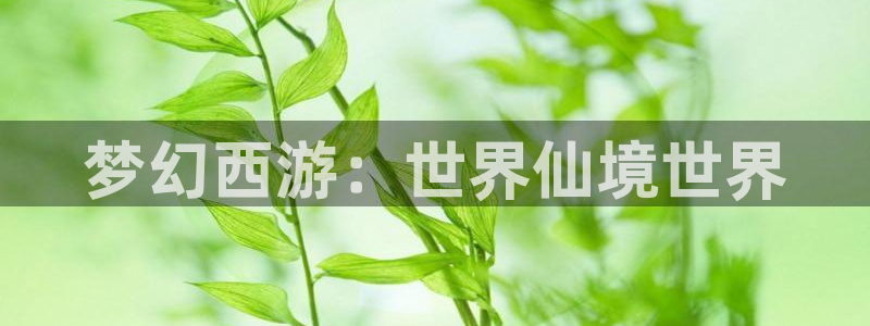 韦德1946bv1946
