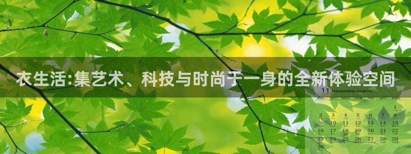 韦德1946bv1946