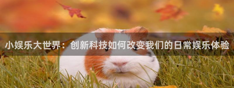 韦德1946官网最新版