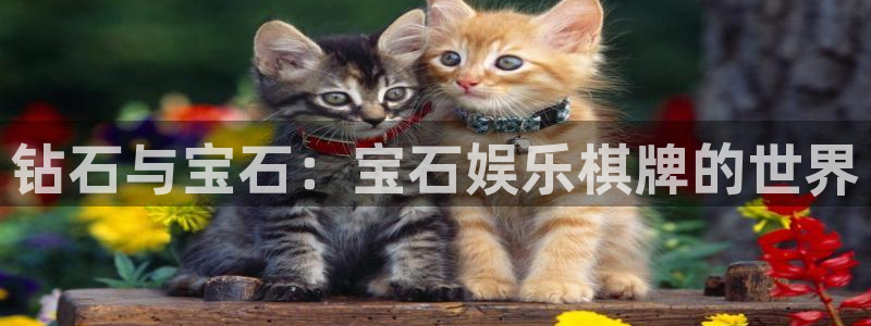 韦德1946娱乐手机版